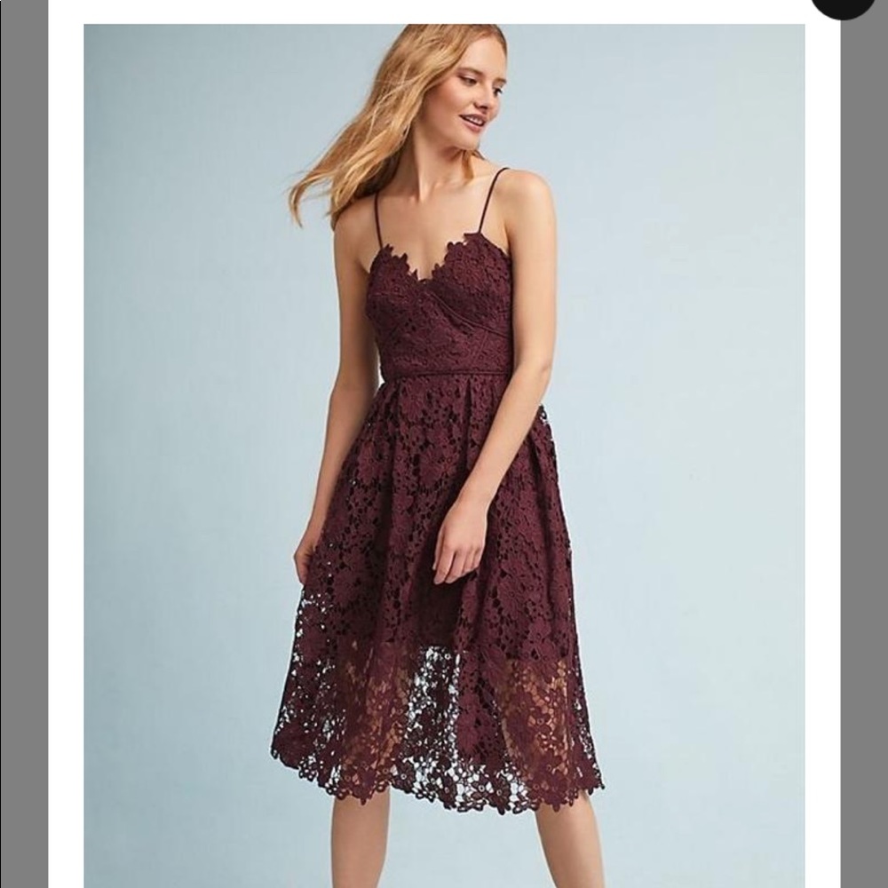 Anthropologie Donna Morgan Renata Lace Dress